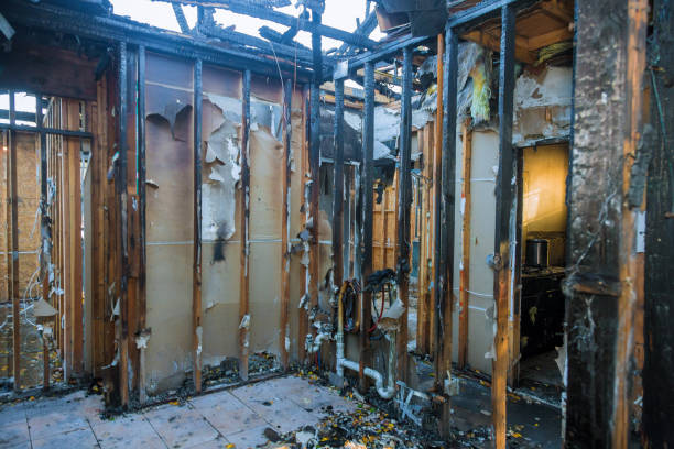 Professional Soot Cleanup technician working in Trenton, FL