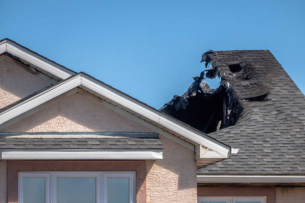 Top rated local Soot Cleanup specialists in Trenton, FL